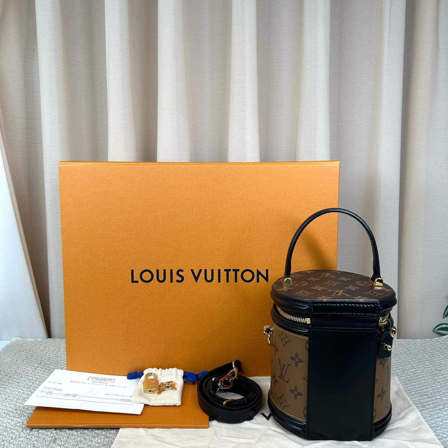 Louis Vuitton Cannes Medium Two-Tone Brown