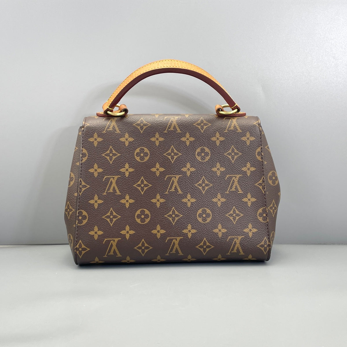 Louis Vuitton Monogram Cluny Mini