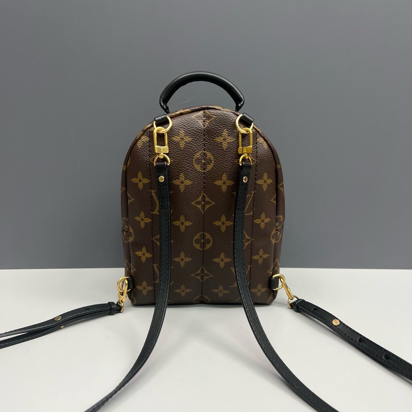 Louis Vuitton Mini Palm Springs Backpack Classic