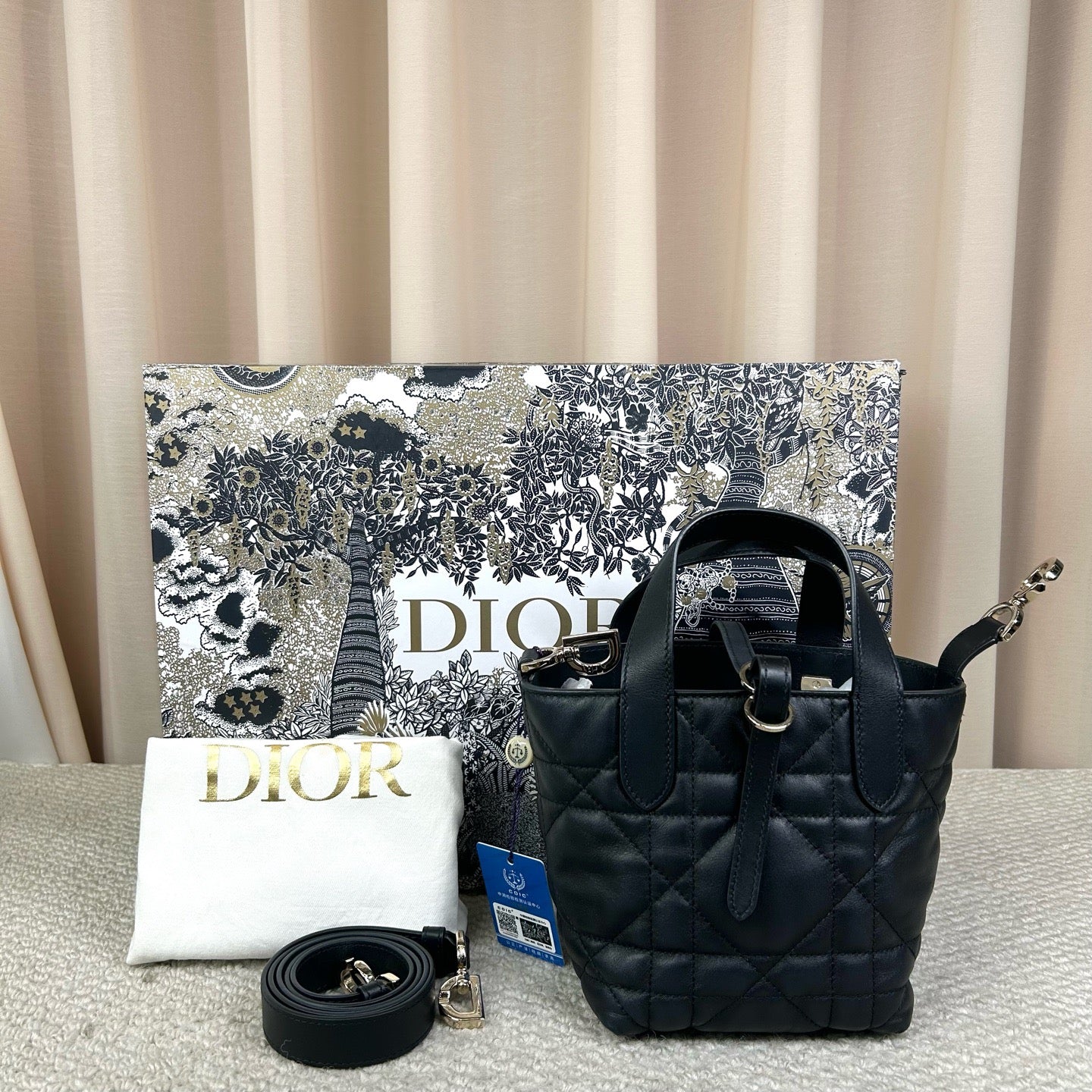 Dior Mini Dior Toujours Vertical Bag