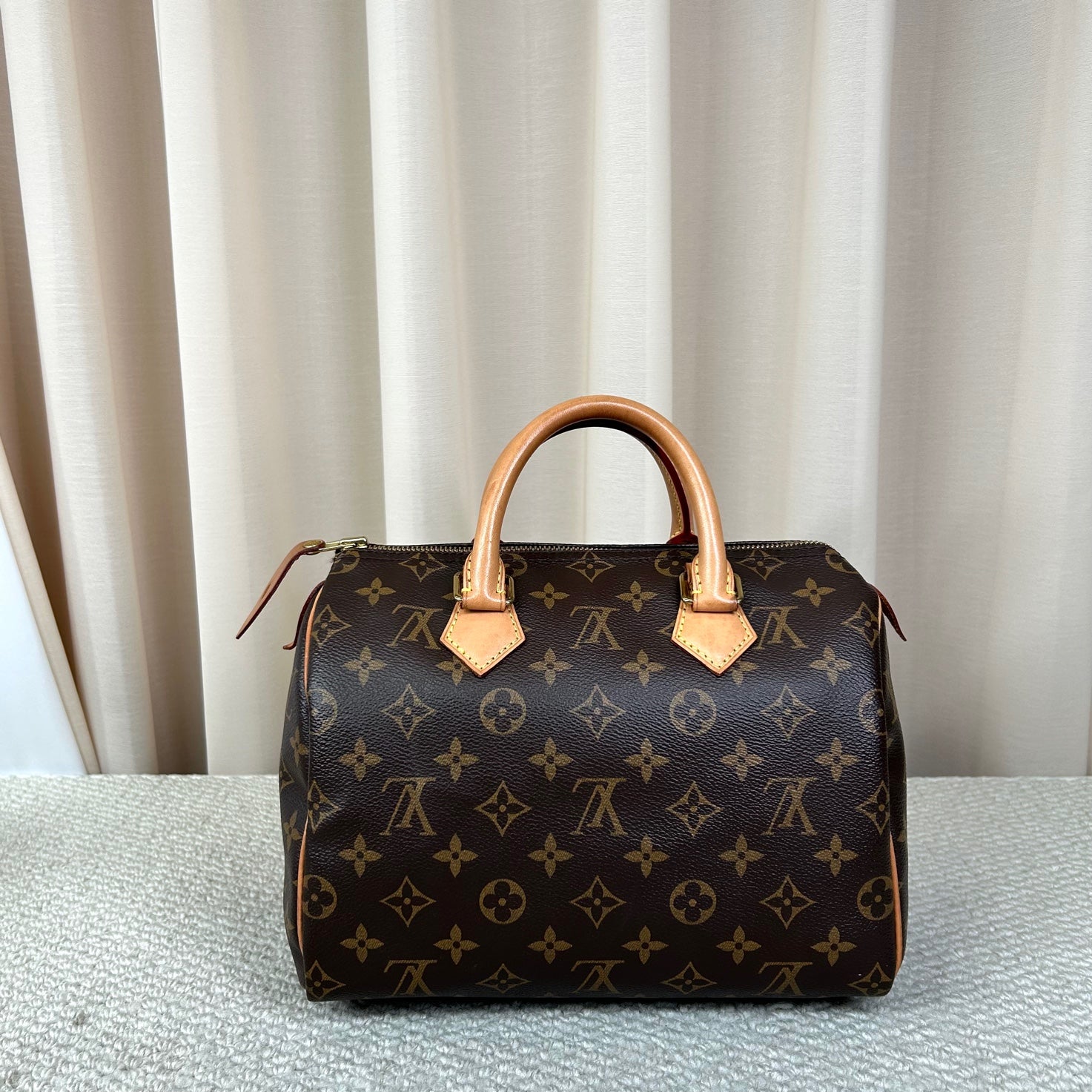 Louis Vuitton Speedy 25 Handbag