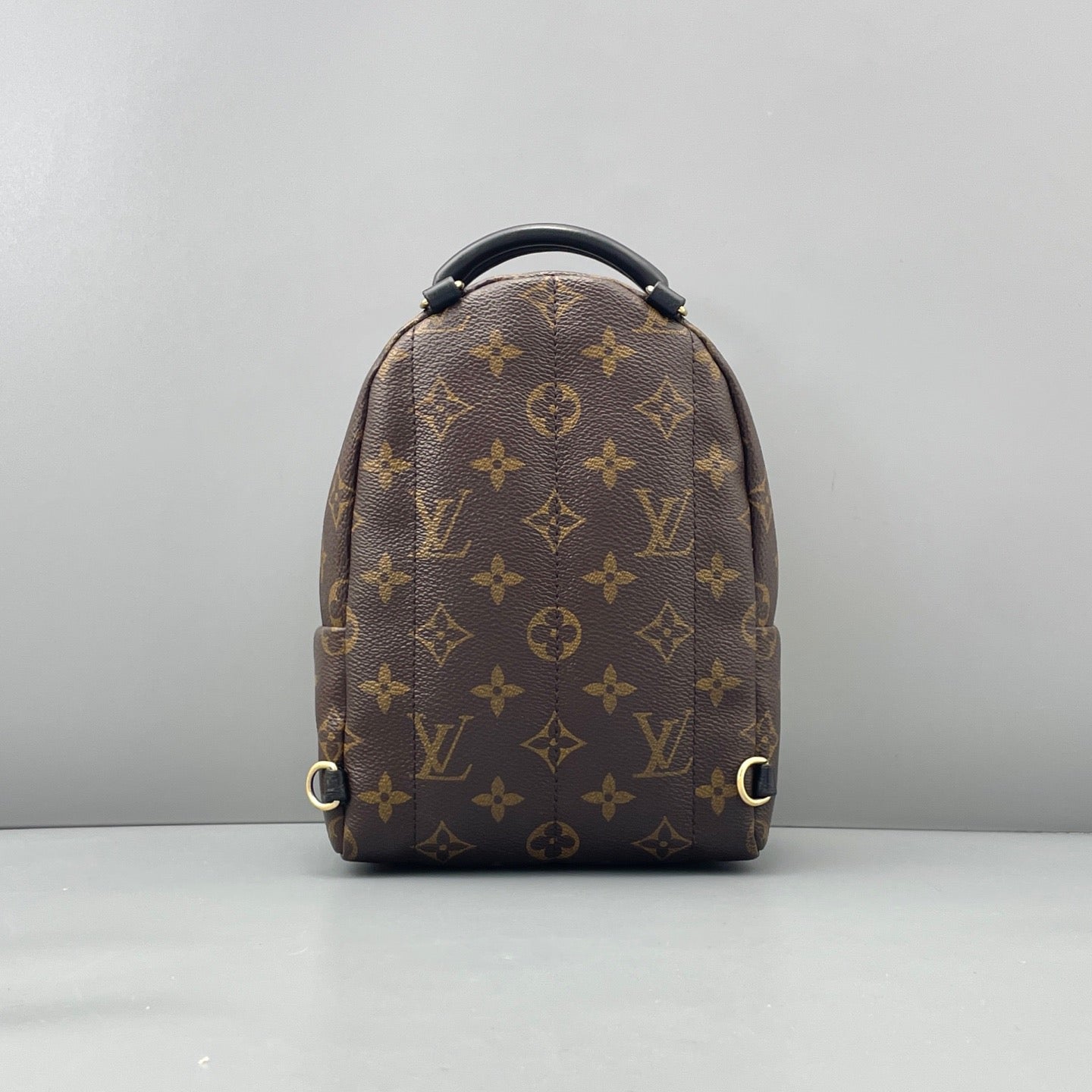 Louis Vuitton Palm Springs Mini Monogram