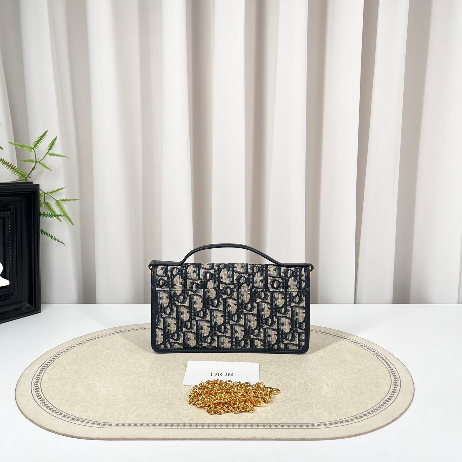 Dior 30 Montaigne Cigale Chain Bag