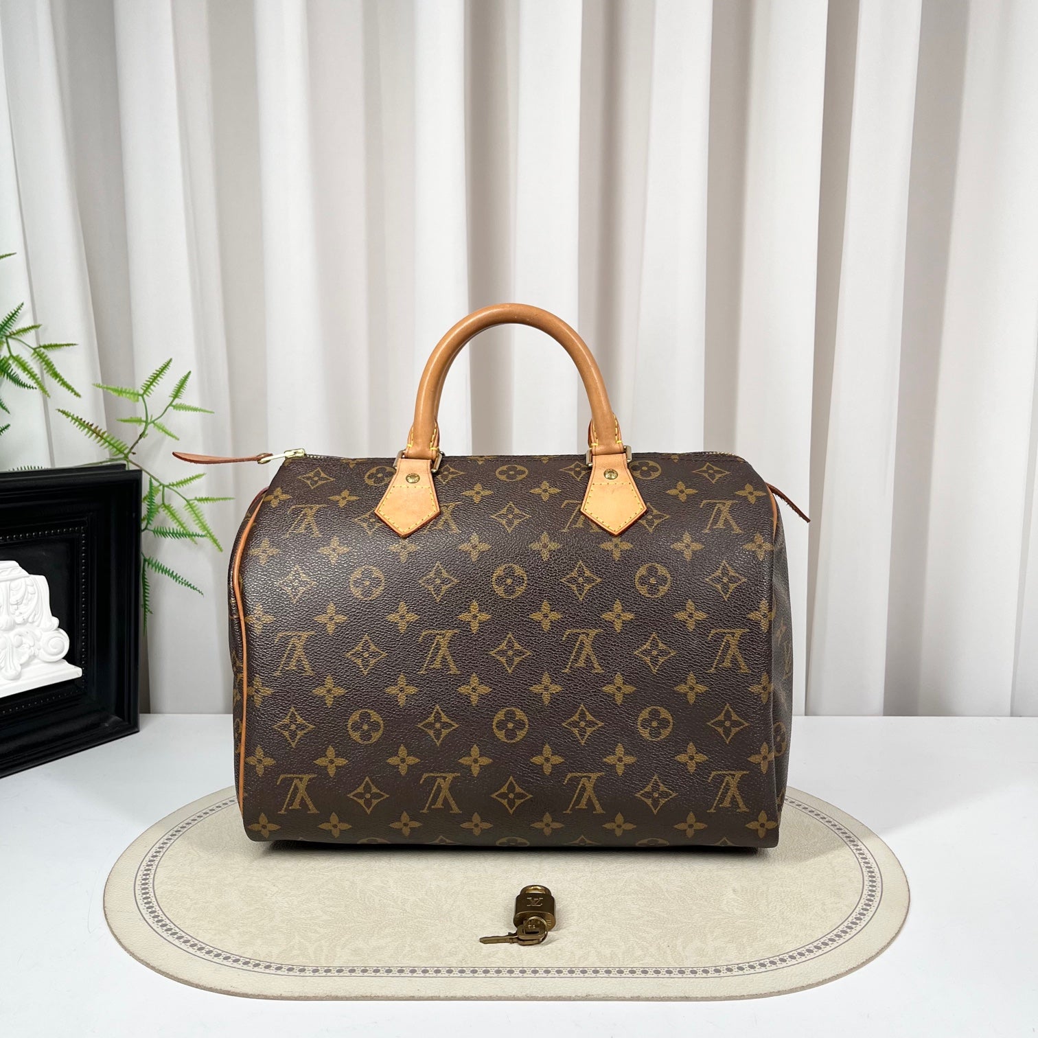 Louis Vuitton Speedy 30 Monogram Handbag