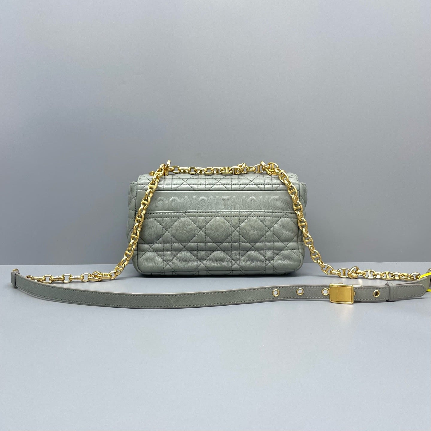 Dior Montaigne Flap Chain Grey