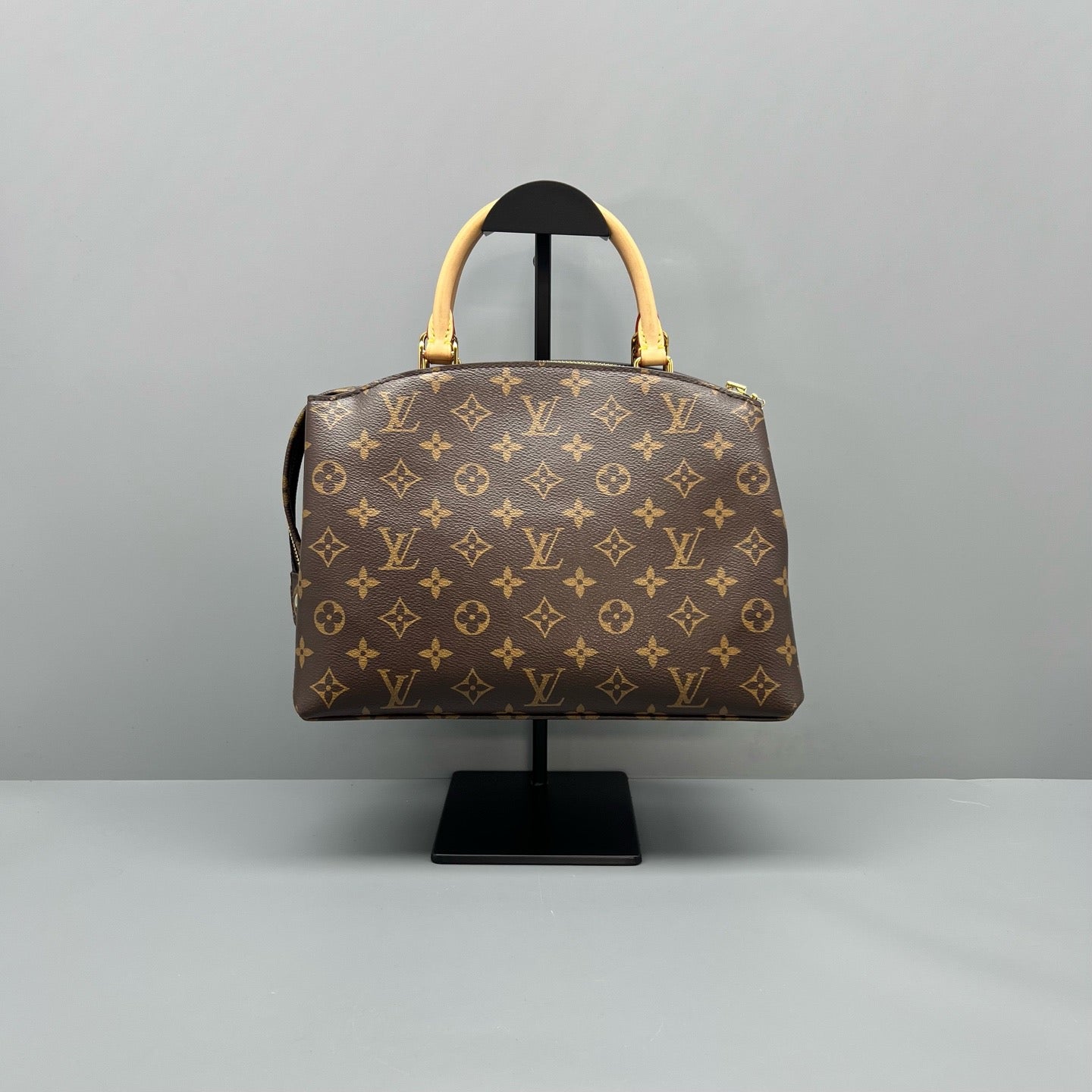 Louis Vuitton Petit Palais PM Classic