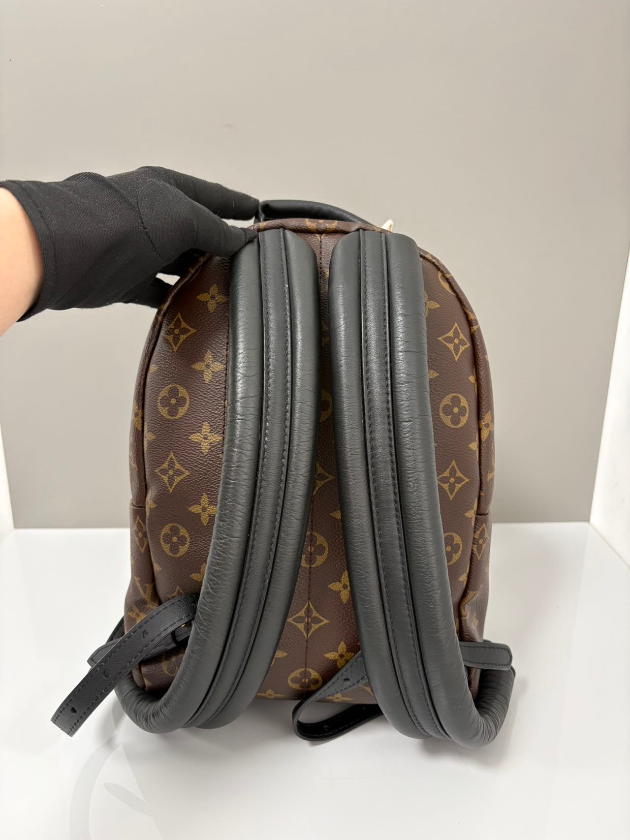 Louis Vuitton Palm Springs Mini Monogram Canvas Backpack