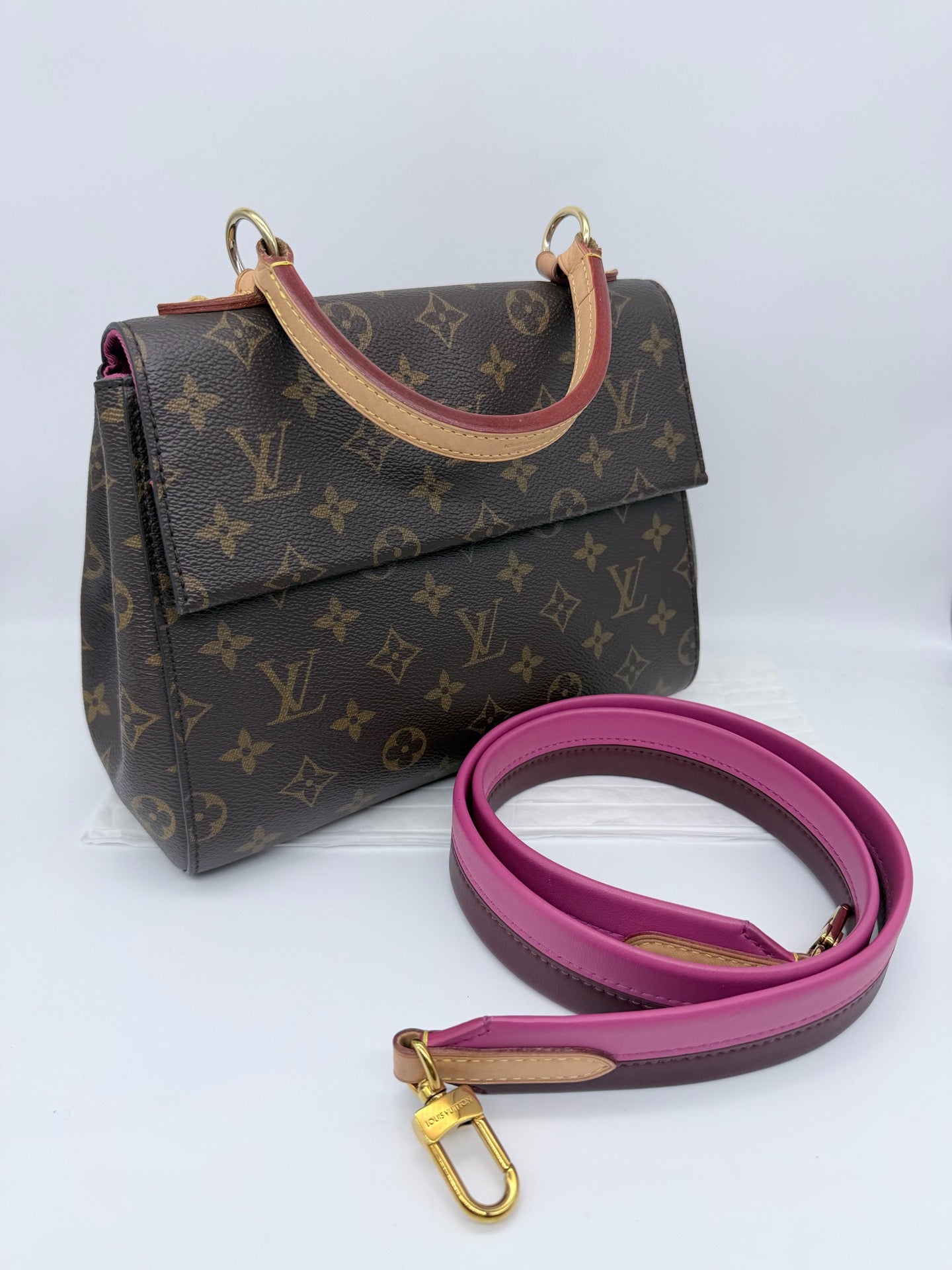 Louis Vuitton Cluny Bag BB