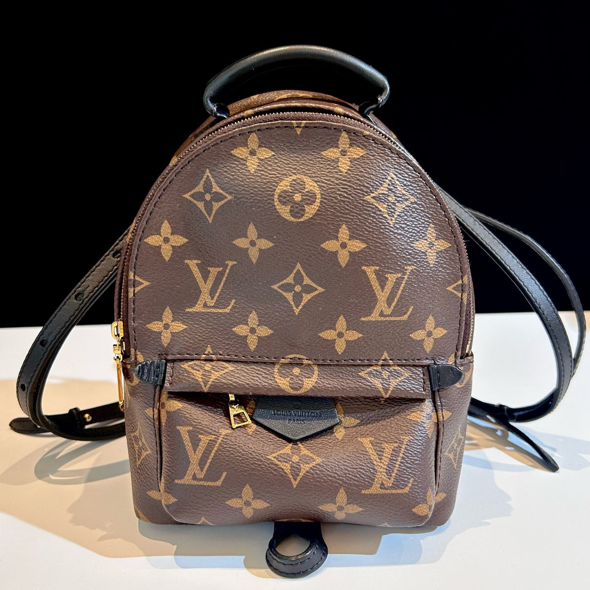 Louis Vuitton Palm Springs Mini