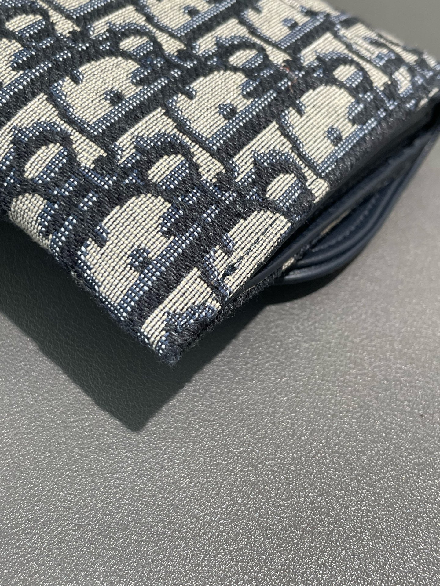 Christian Dior Saddle WOC mini