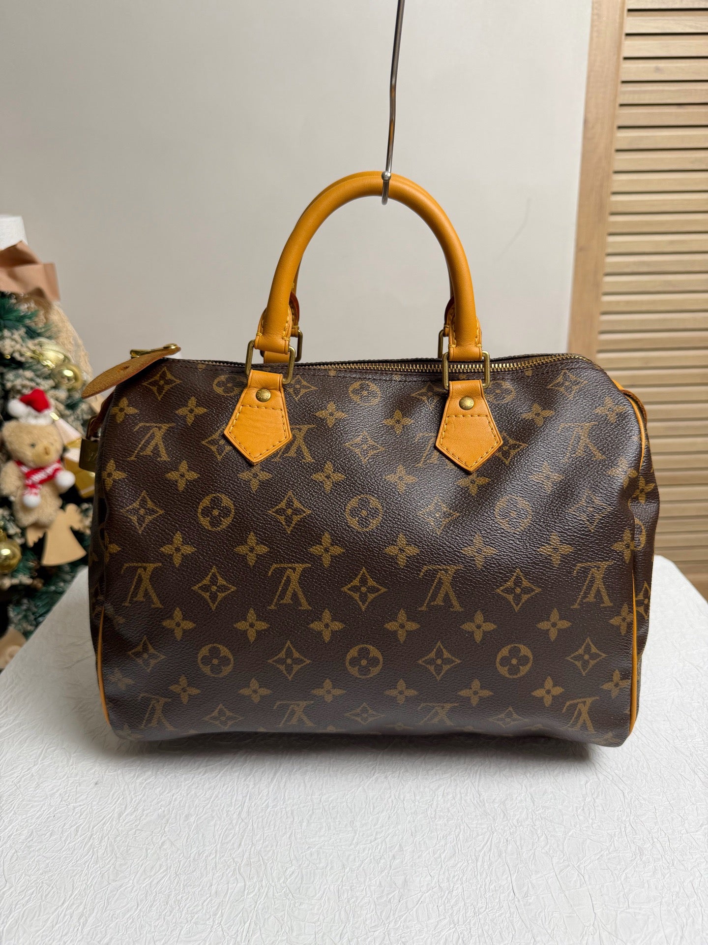 Louis Vuitton Monogram Speedy 30 (repainted)