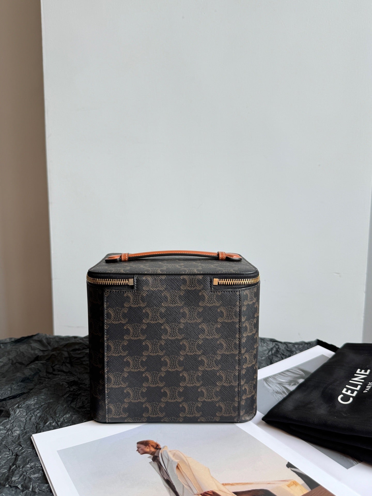 Celine Triomphe Canvas Vanity Case Handbag