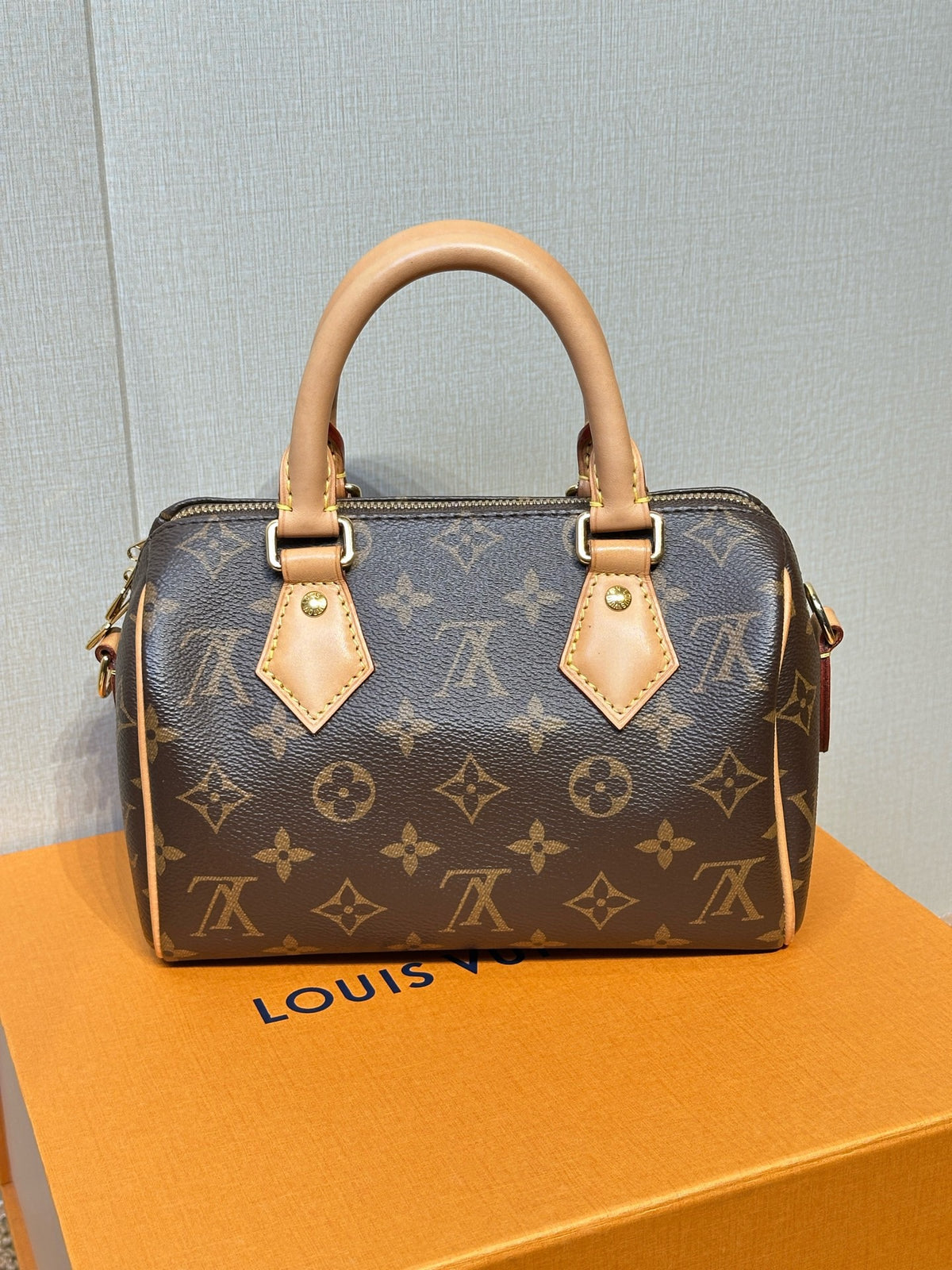 Louis Vuitton Speedy 20 Monogram Bag