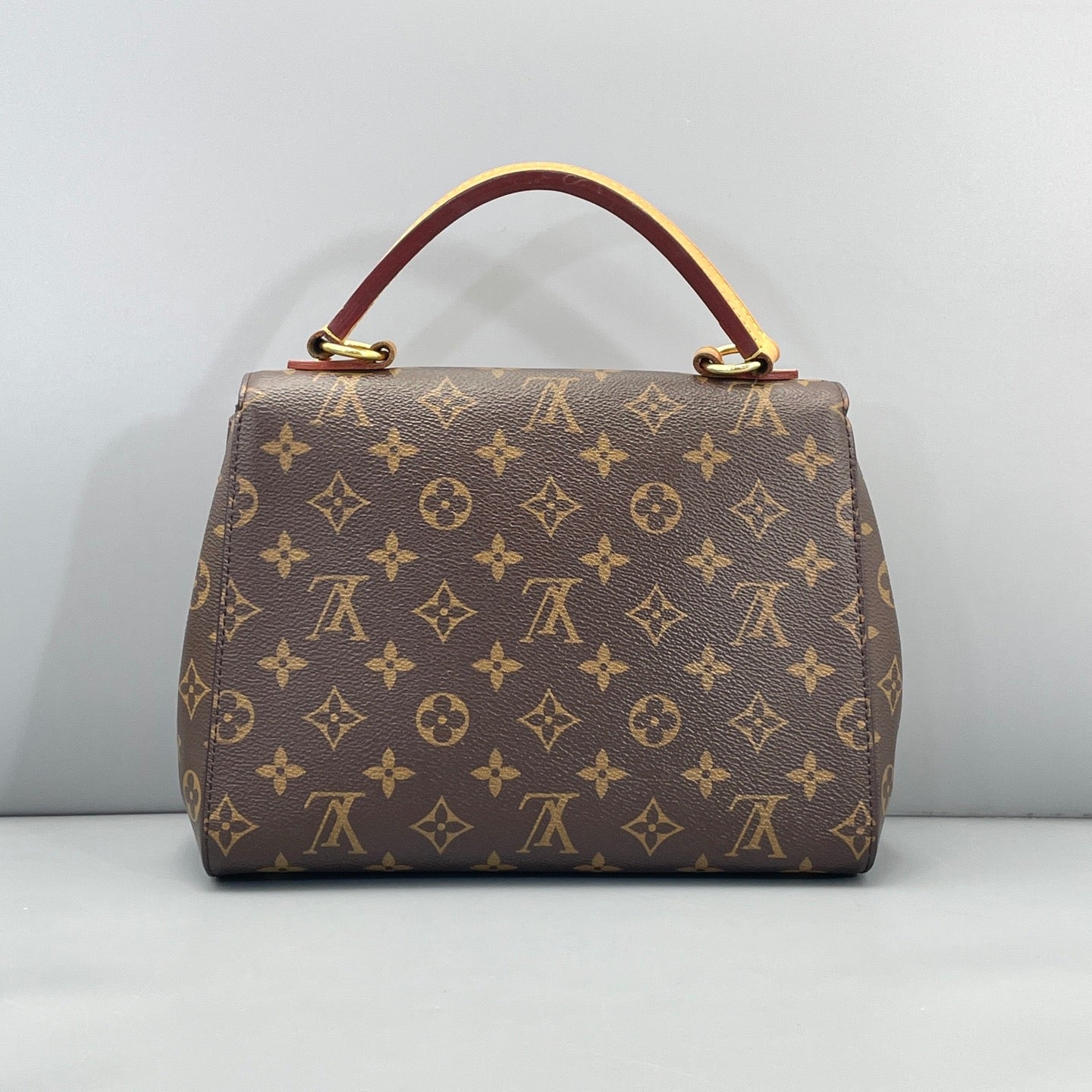 Louis Vuitton Monogram Cluny
