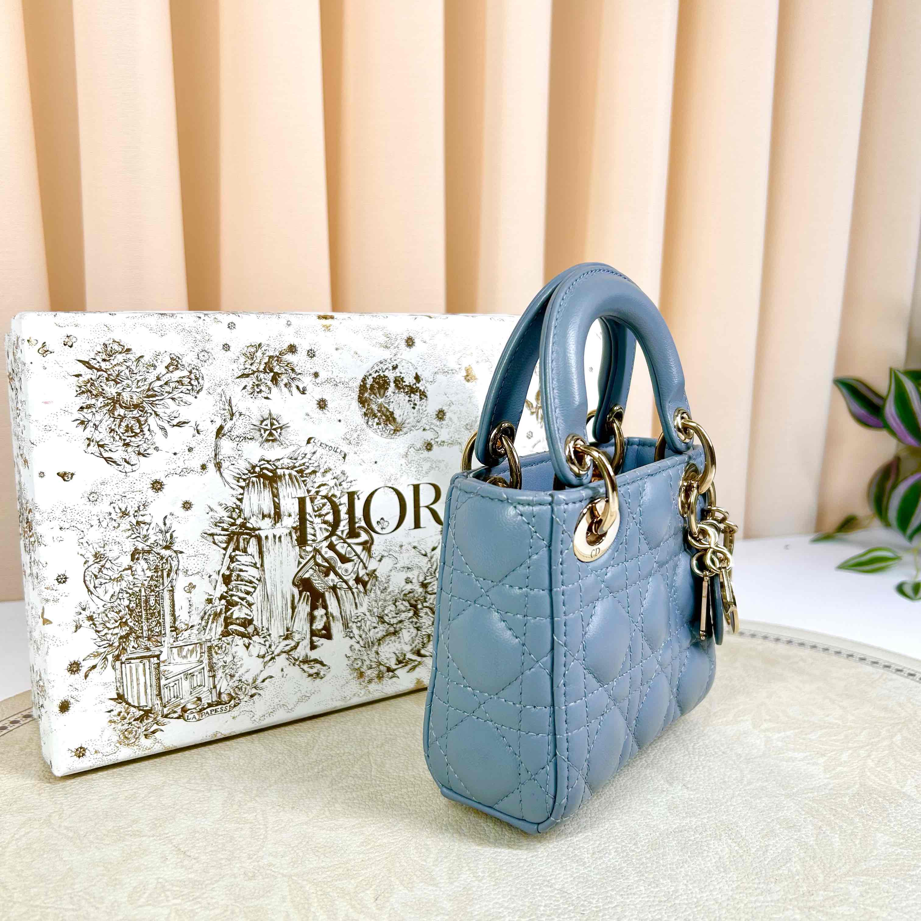 Dior Lady Dior Micro