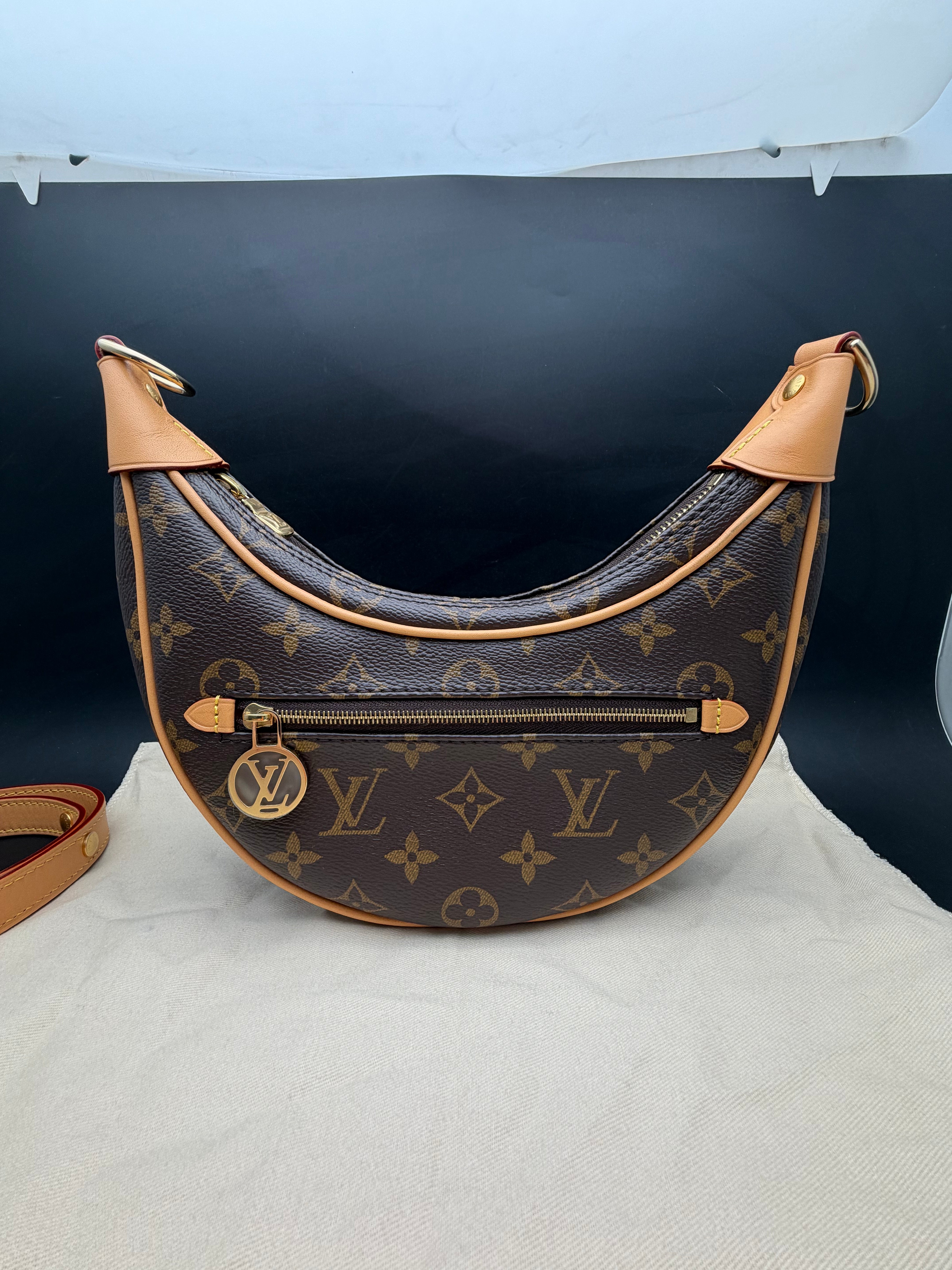 Louis Vuitton Loop Moon Bag