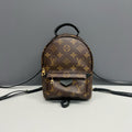 Louis Vuitton Mini Palm Springs Backpack Classic