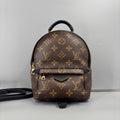 Louis Vuitton Palm Springs Mini Monogram Backpack