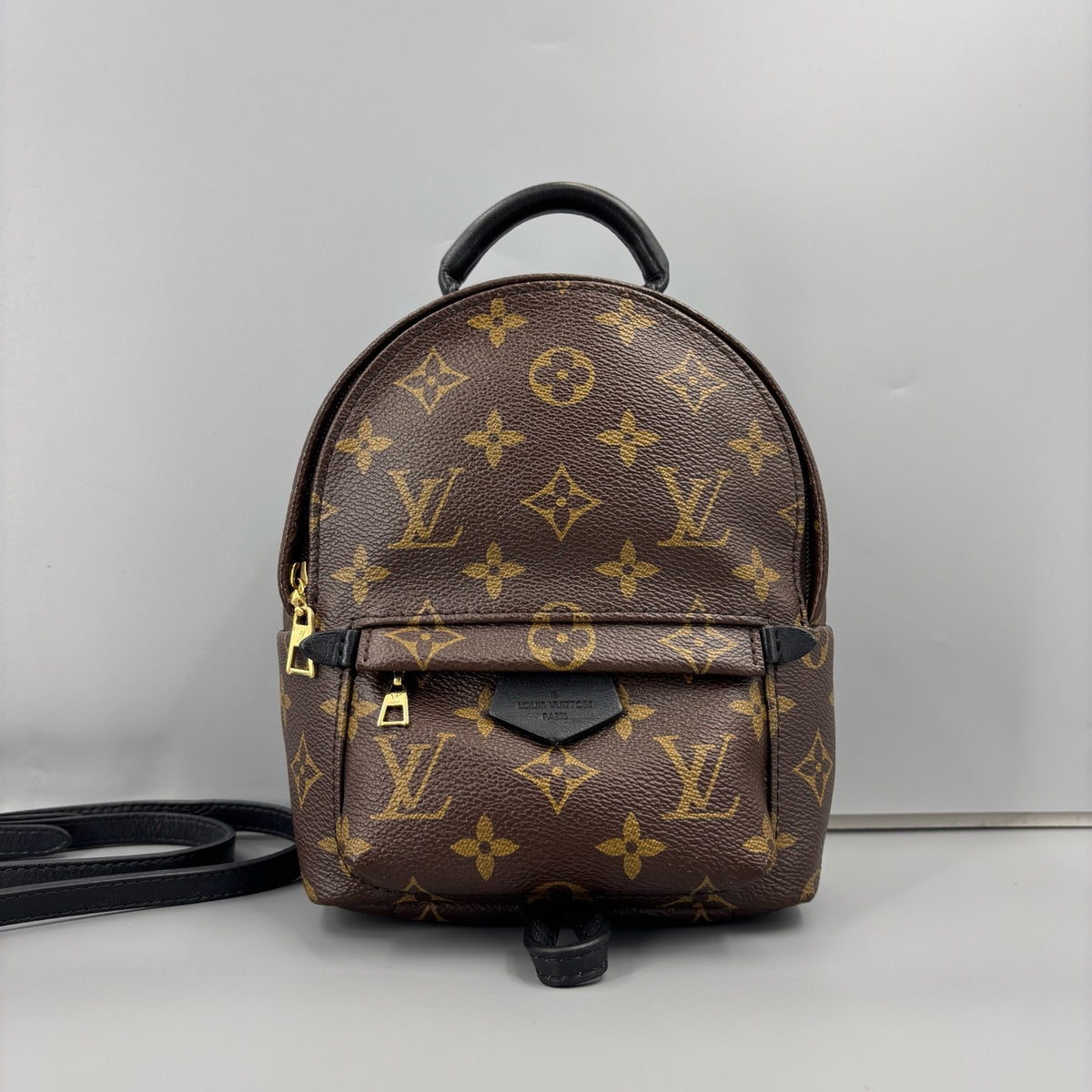 Louis Vuitton Palm Springs Mini Monogram Backpack