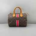 Louis Vuitton Speedy 25 Monogram Pink