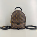 Louis Vuitton Monogram Palm Springs Mini Backpack
