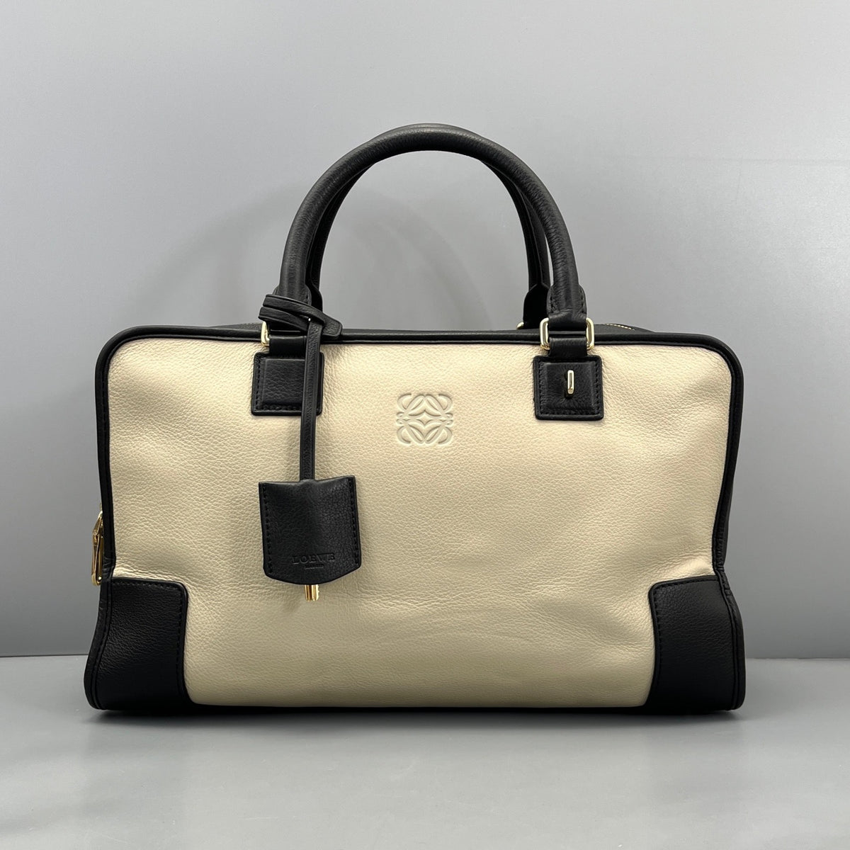 Loewe Two‑Tone Leather Amazona 36