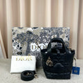 Dior Mini Dior Toujours Vertical Bag