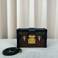 Louis Vuitton Petite Malle Hard Box Bag