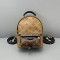 Louis Vuitton Mini Palm Springs