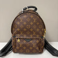 Louis Vuitton Palm Springs Mini Monogram Canvas Backpack