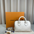 Louis Vuitton Speedy 20