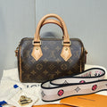 Louis Vuitton Speedy 20 Monogram Bag