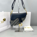 Christian Dior Oblique Saddle