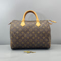 Louis Vuitton Speedy 30 Monogram