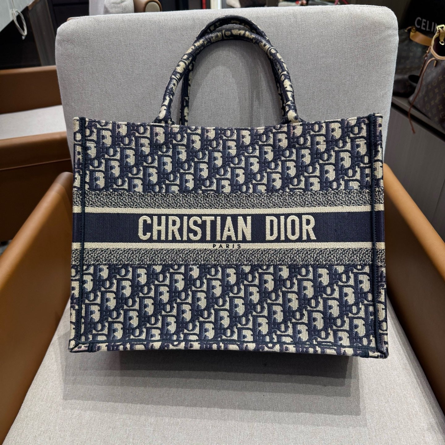 Christian Dior Book Tote Medium Blue