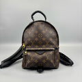 Louis Vuitton Monogram Palm Springs PM Backpack