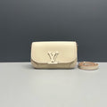 Louis Vuitton Buci Bag