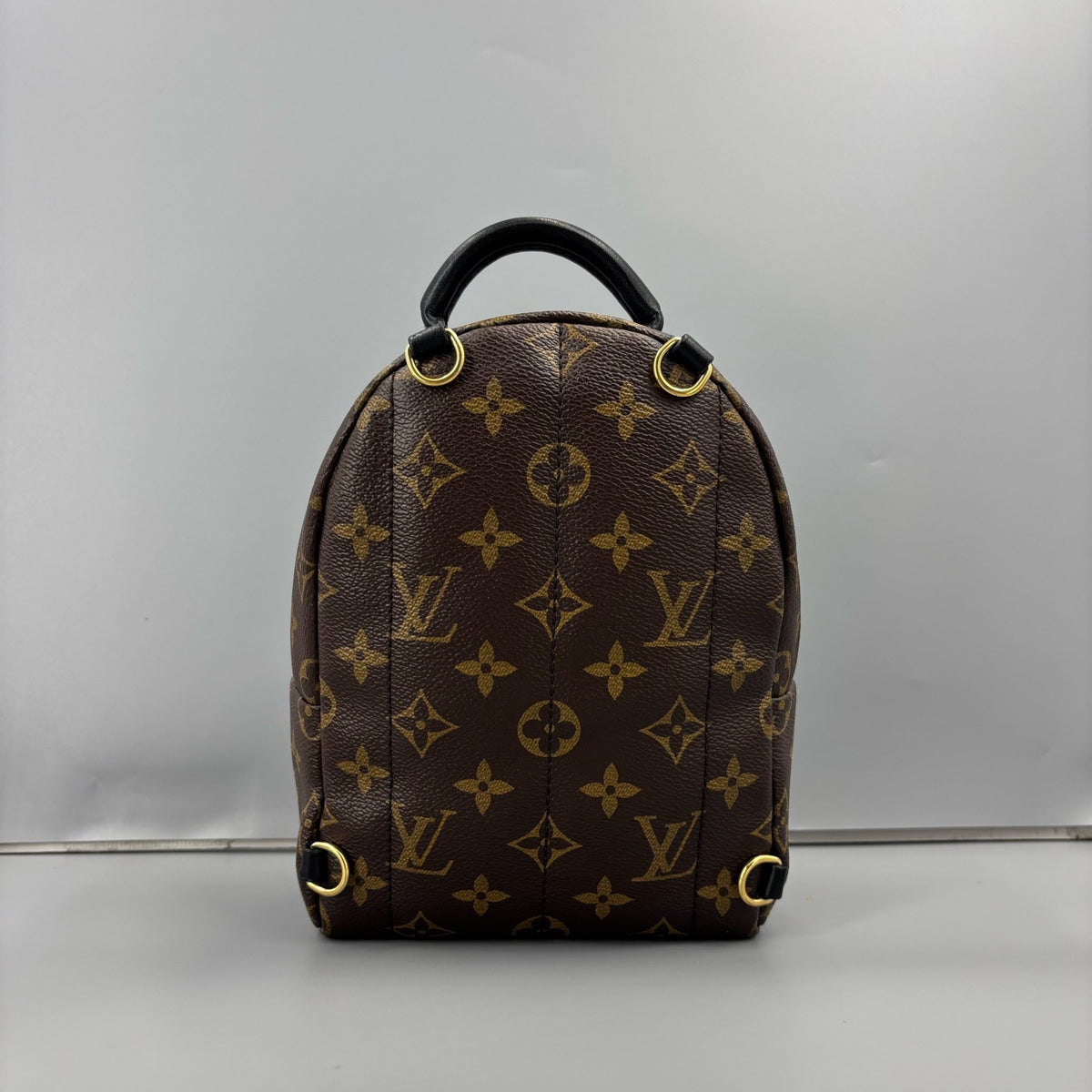 Louis Vuitton Palm Springs Mini Monogram Backpack