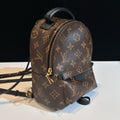 Louis Vuitton Palm Springs Mini