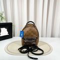 Louis Vuitton LV Palm Springs Mini Backpack Monogram Canvas