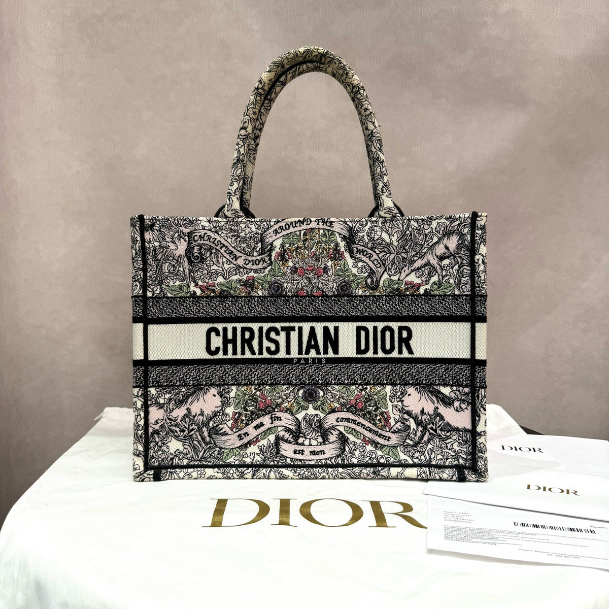 Dior Book Tote Medium