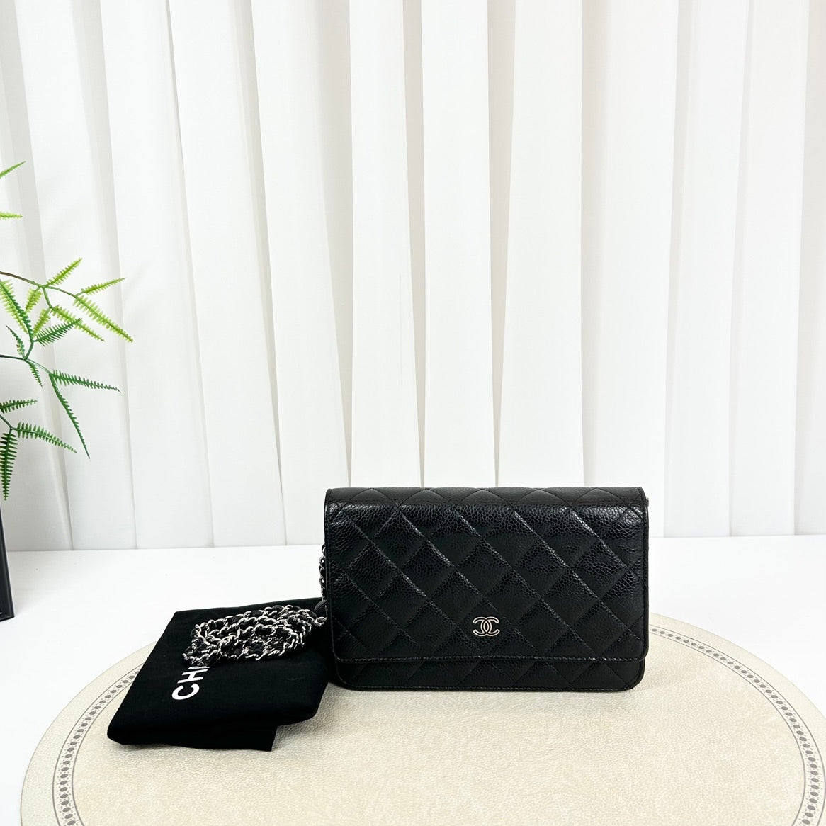 Chanel Wallet On Chain Shoulder Bag