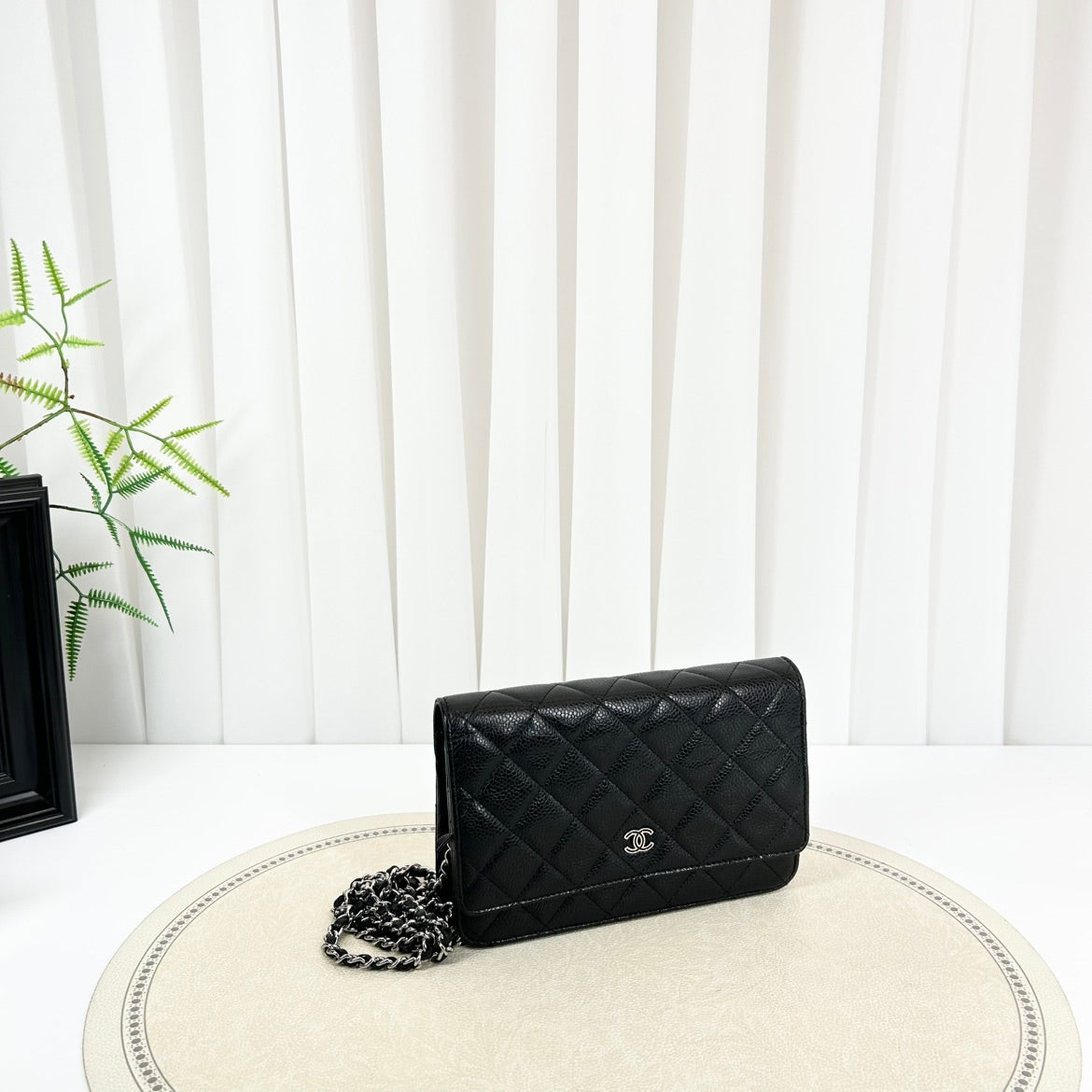 Chanel Wallet On Chain Shoulder Bag
